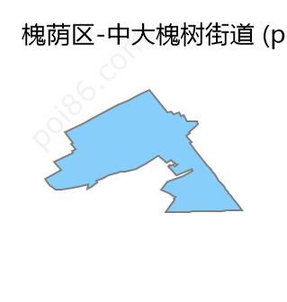 中大槐树街道边界地图