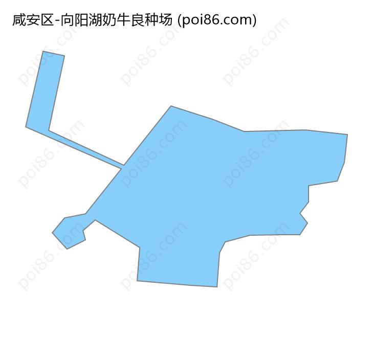 向阳湖奶牛良种场边界地图